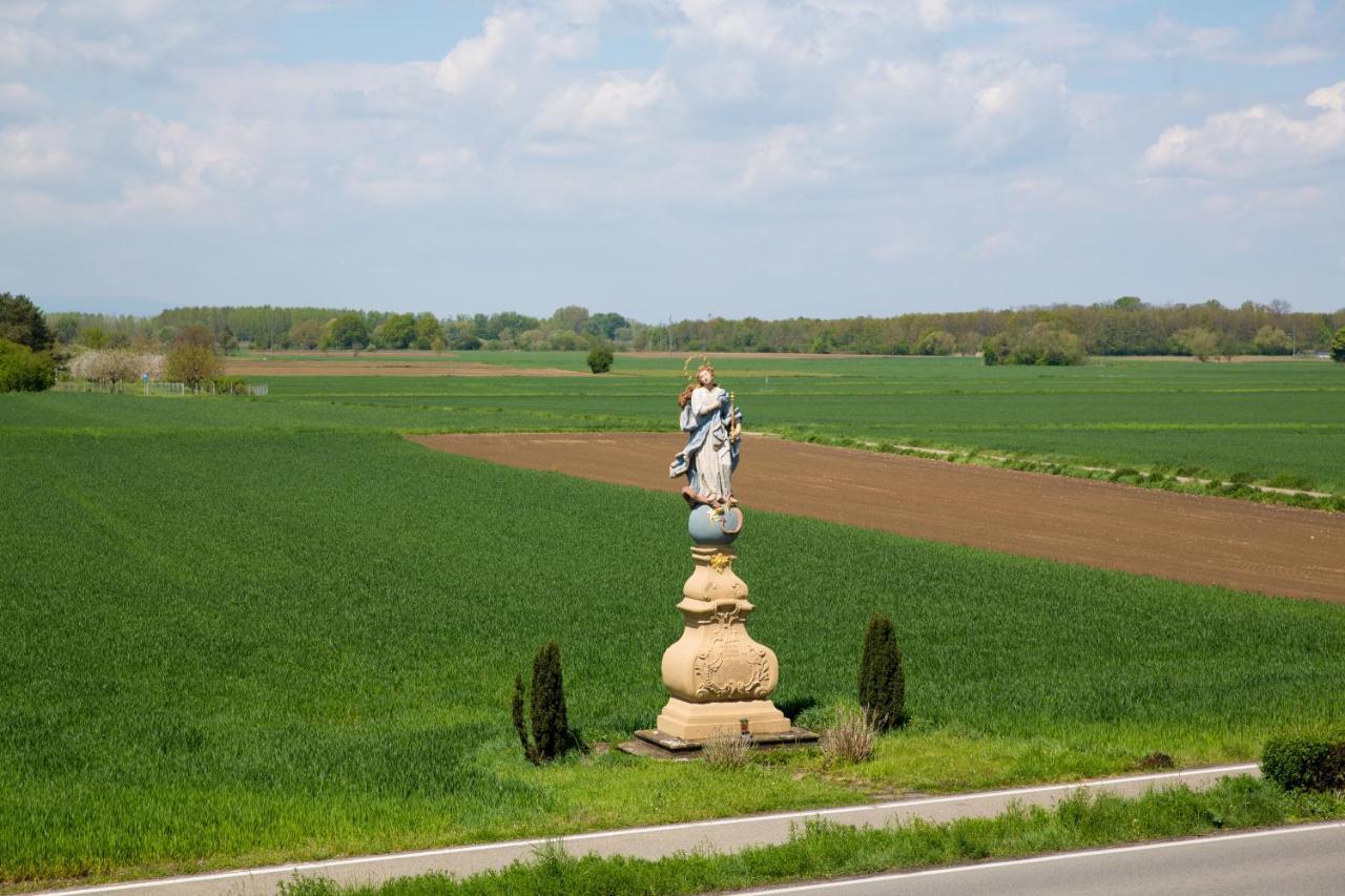 Schoener Wohnen Friesenheim  Exteriér fotografie